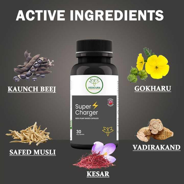 Supercharger: Boosts Energy, Enhances Stamina - 30 Caps